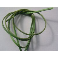 Snur piele - verde deschis - 282051 - PAM