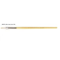 Pensula cioc de rata Filbert 7900/20 - MAESTRO