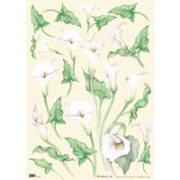 Hartie decoupage 80 gr, 50 x 70, Callas - DFG183
