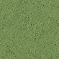 Fetru Stamperia, 1 mm - 30 30cm, green - FLSP013