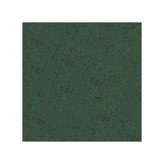 Fetru Stamperia, 1 mm - 30 30cm, green - FLSP014