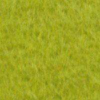 Fetru Stamperia, 1 mm - 30 30cm, green - FLSP029
