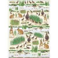 DFG238 - Hartie decupaj 50 70, Stamperia, ducks + beka