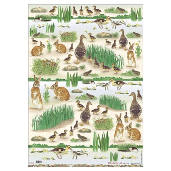 DFG238 - Hartie decupaj 50 70, Stamperia, ducks + beka