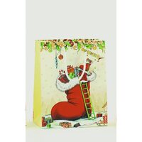 Punga pentru cadou - Medium - 18 22.5cm - 2772
