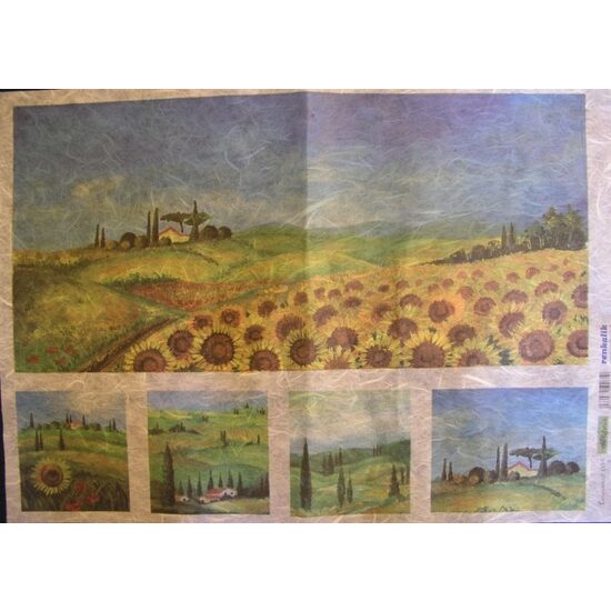 Hartie de orez - COD.061 - 35X50 cm