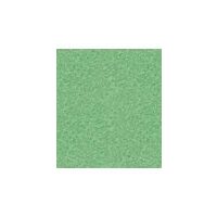 Fetru Stamperia, 1 mm - 30 30cm, selery green - FLSP044