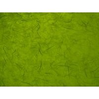 204718554 Hartie de matase grass green 50 70 - Heyda