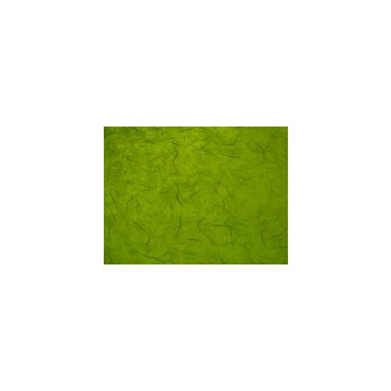 204718554 Hartie de matase grass green 50 70 - Heyda