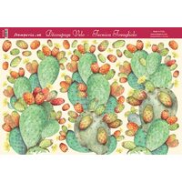 DFV124- Hartie vello decupaj - 48 33.5 - Stamp. - prickly pear