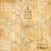 FLSP/ST02 - Fetru printat 30x30cmx1mm - Birdcage - Stamperia
