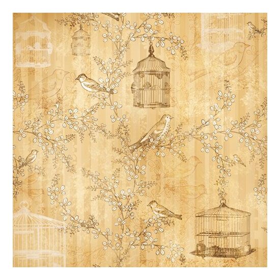 FLSP/ST02 - Fetru printat 30x30cmx1mm - Birdcage - Stamperia