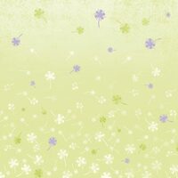 FLSP/ST18 - Fetru printat 30x30cmx1mm - Fantesy of flowers- Stamperia