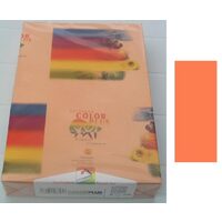 Top hartie colorata A4 -160gr - nectarina
