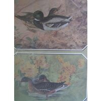 2A122- Hartie decupaj 25x35cm - ARTE - anatre