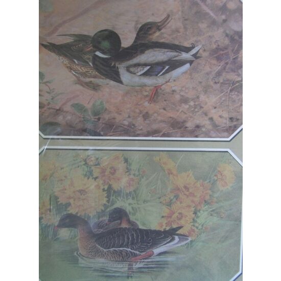2A122- Hartie decupaj 25x35cm - ARTE - anatre