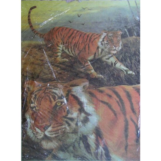 2A124 - Hartie decupaj 25x35cm - ARTE - tigre