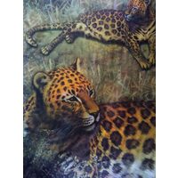 2A123 - Hartie decupaj 25x35cm - ARTE - ghepardo