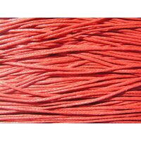 282146 Ata cerata rosie - PAM - 1m