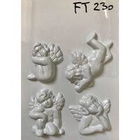 FT230 Matrita 3D - INTER.D