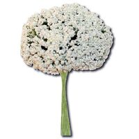 SF099 - Buchet floricele albe - Stamperia