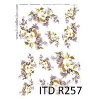 R257 - Hartie orez A4, 25 - 30gr - ITD