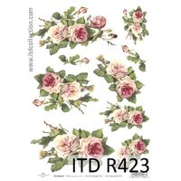 R423- Hartie orez A4, 25 - 30gr - ITD