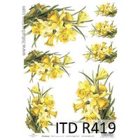 R419 - Hartie orez A4, 25 - 30gr - ITD