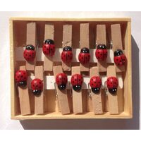 900763- Set 12 cleme lemn cu buburuza - ANT