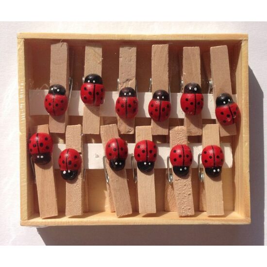 900763- Set 12 cleme lemn cu buburuza - ANT