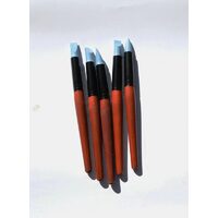 Set 5 pensule silicon - PENT