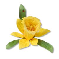 2 - 658414 - Set 12 cuttere Thinhits - Flower / Daffodil