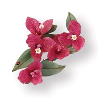 2 - 658853 - Set 9 cuttere Thinlits - Flower Bougainvillea
