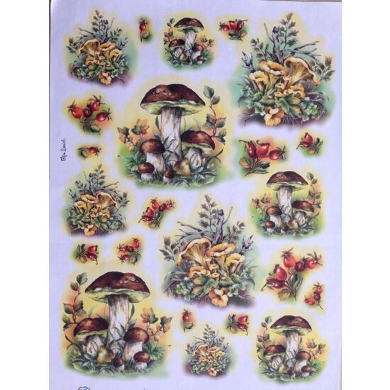 CRT0214 - Hartie decupaj OFERTA - 35 x 50 - Porcini