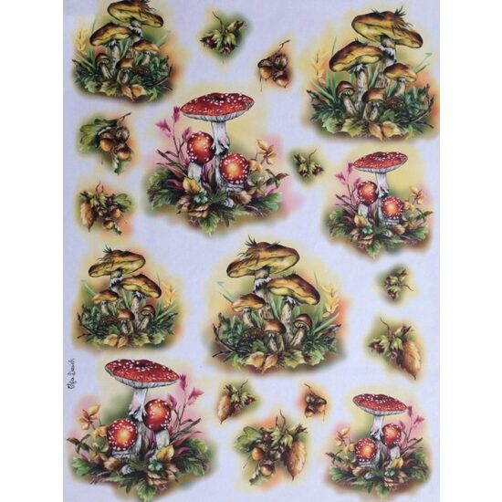 CRT0213 - Hartie decupaj OFERTA - 35 x 50 - Ciuperci