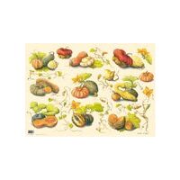 7100003 Hartie decupaj 50x70 ZUCCHE - Maimeri