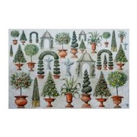7100019 Hartie decupaj 50x70 cm VASI CON PIANTA - Maimeri