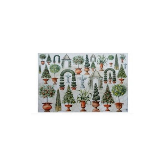 7100019 Hartie decupaj 50x70 cm VASI CON PIANTA - Maimeri