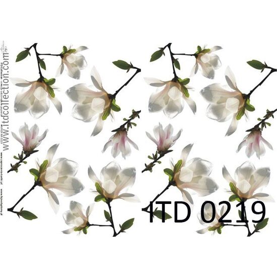 D0219M - Hartie decupaj - CLASIC A4, 60gr - ITD