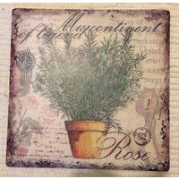 288034 - Placuta decorativa cu rozmarin 20x20cm - ANT-CH