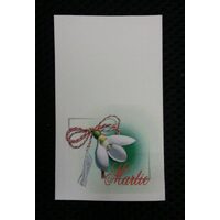 Set 50 cartonase martisor -ghiocel-LIBR