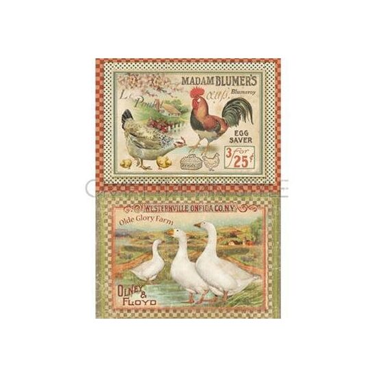 DFSA4110 - Hartie de orez Stamperia A4 - farm goose