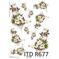R677 - Hartie orez A4, 25 - 30gr - ITD