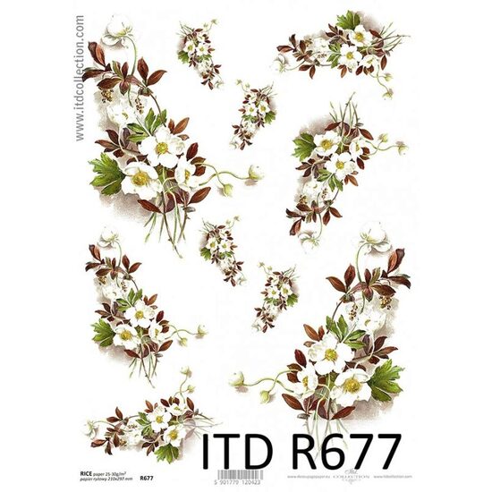 R677 - Hartie orez A4, 25 - 30gr - ITD