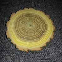 Blat rotund cu scoarta - diametru intre  6 si 13 cm - RIL