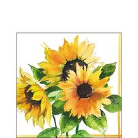 PAK208 - Pachet 20 servetele 25 x 25 cm - Ambiente - 12506555