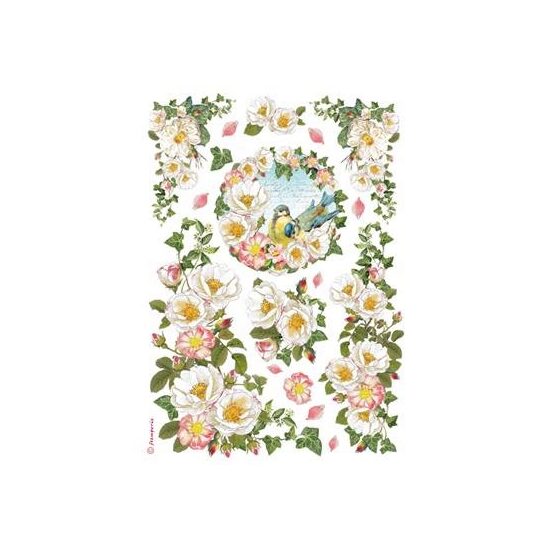 DFSA4177 - Hartie de orez A4 - Wild roses and birds - Stamperia
