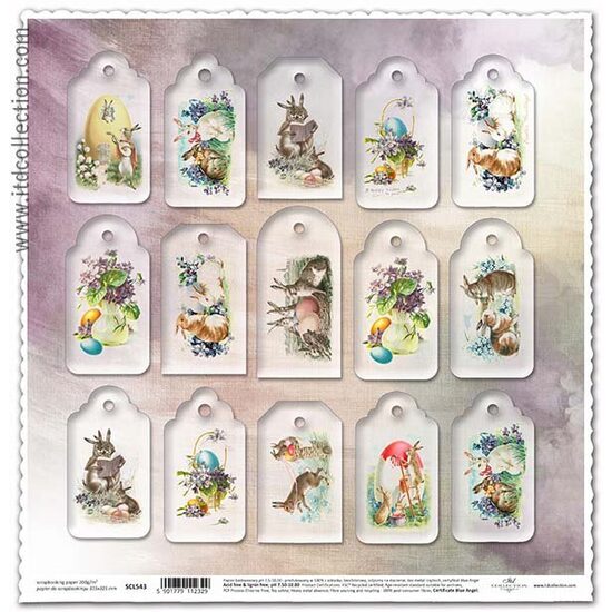 SCL543 - Hartie scrapbooking - 200g, 31,5 x 32,5 cm - ITD