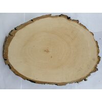Blat lemn oval cu scoarta dimensiuni aprox 10 x 20 cm - RIL
