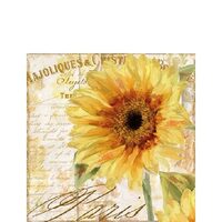 PAK285 - Pachet 20 servetele 25 x 25 cm - Ambiente - 12509655